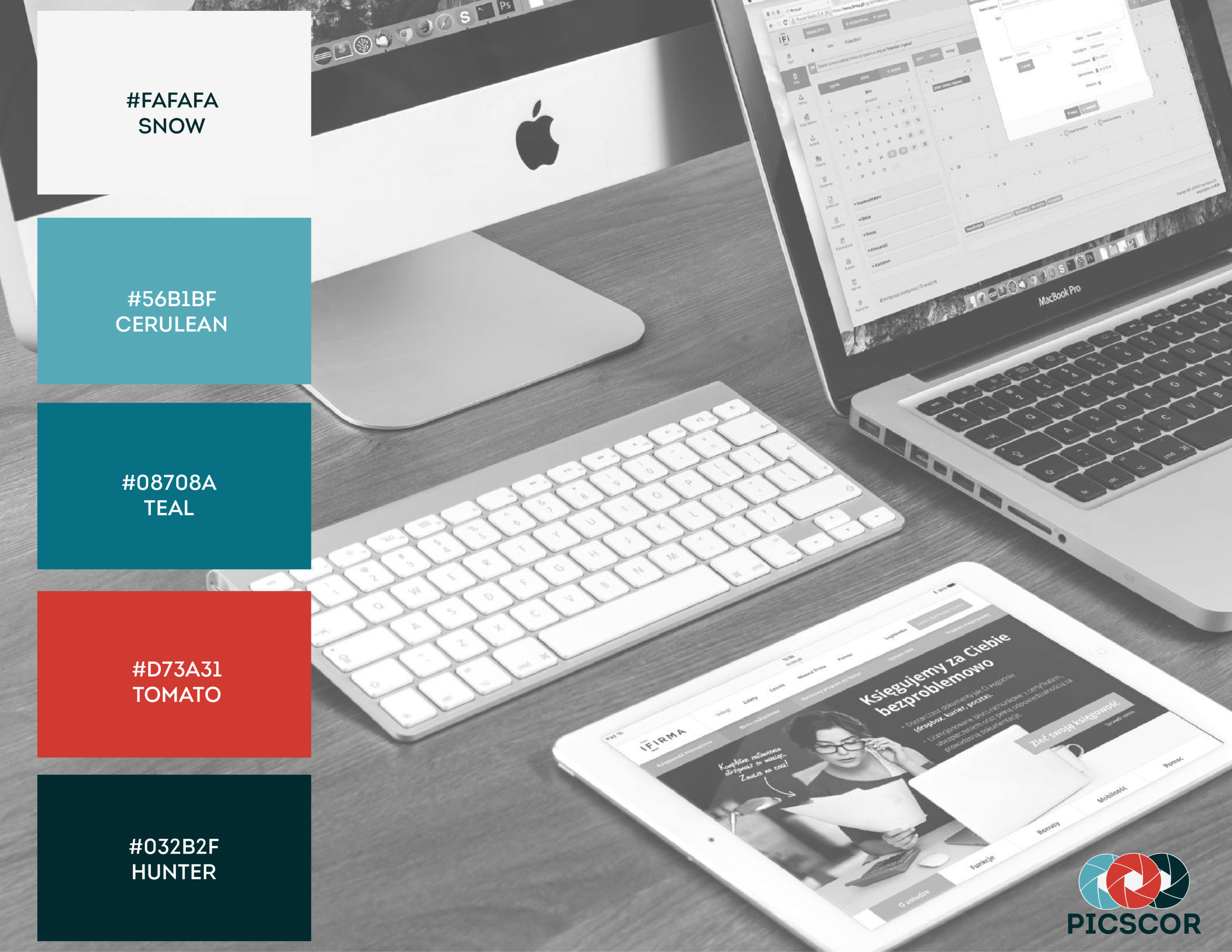 picscor colors-01.png