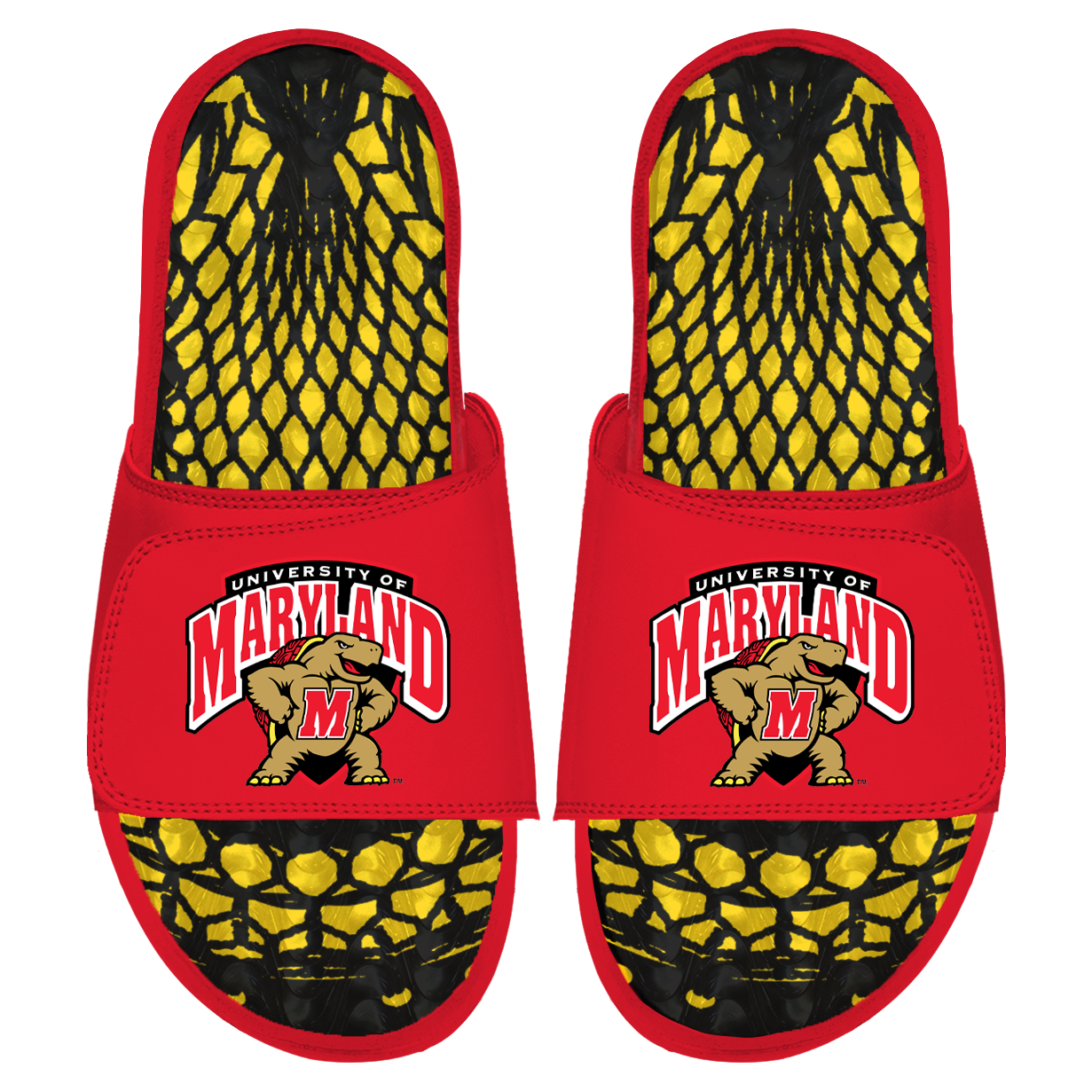 Maryland Lacrosse Mesh gels 4.png