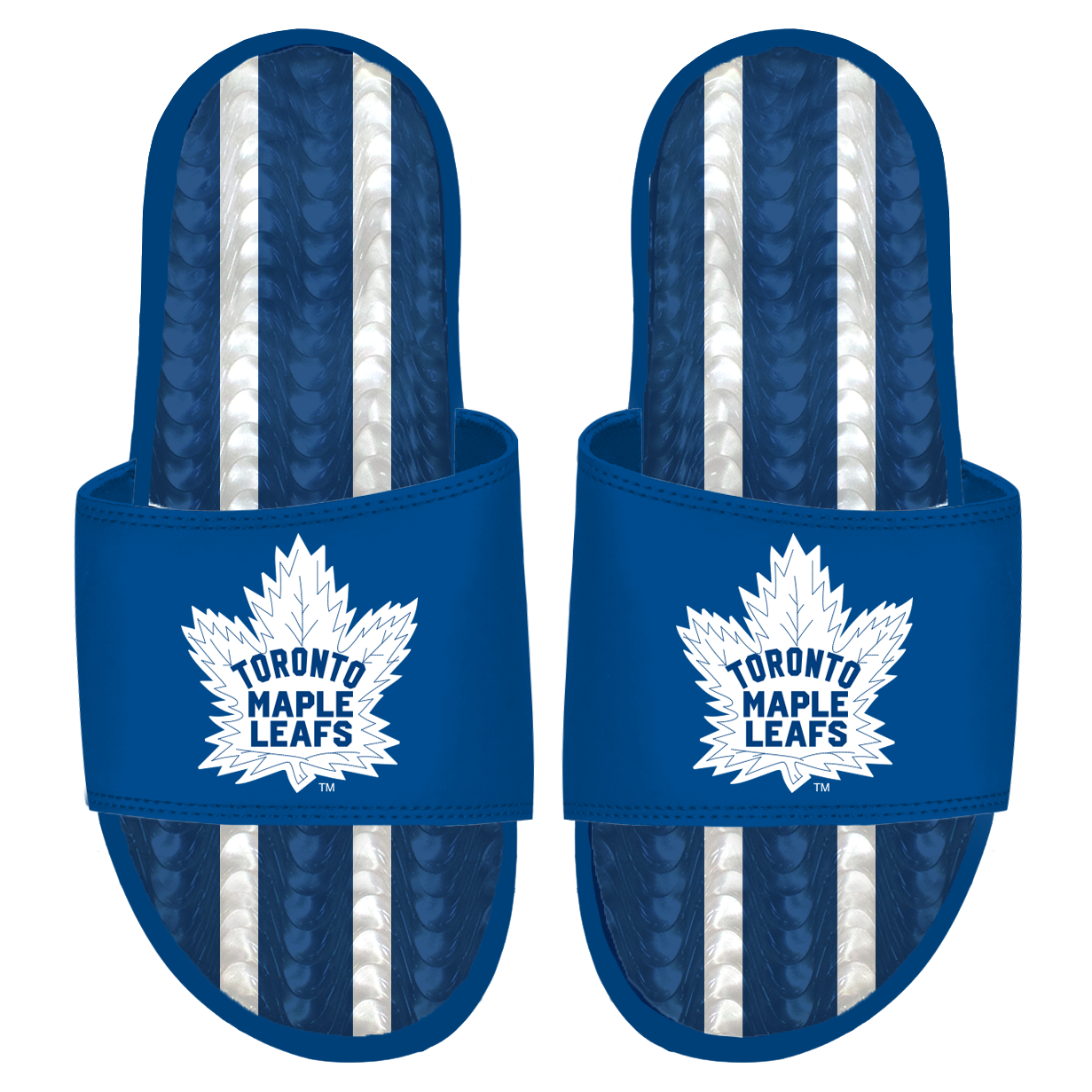 Maple Leafs RR 2022 Gel.png