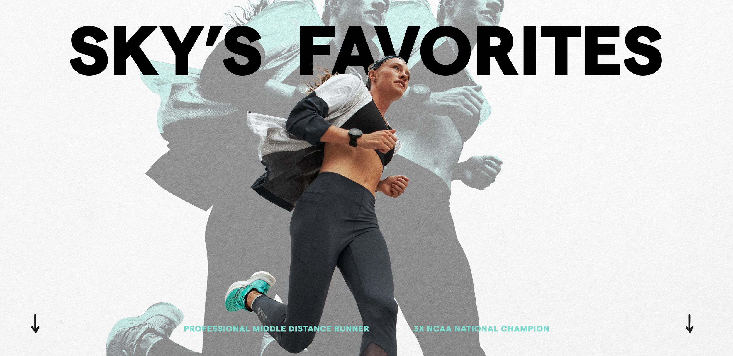 Sky's Favorites Desktop Banner.png