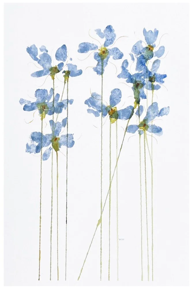 BLUE IRISES II