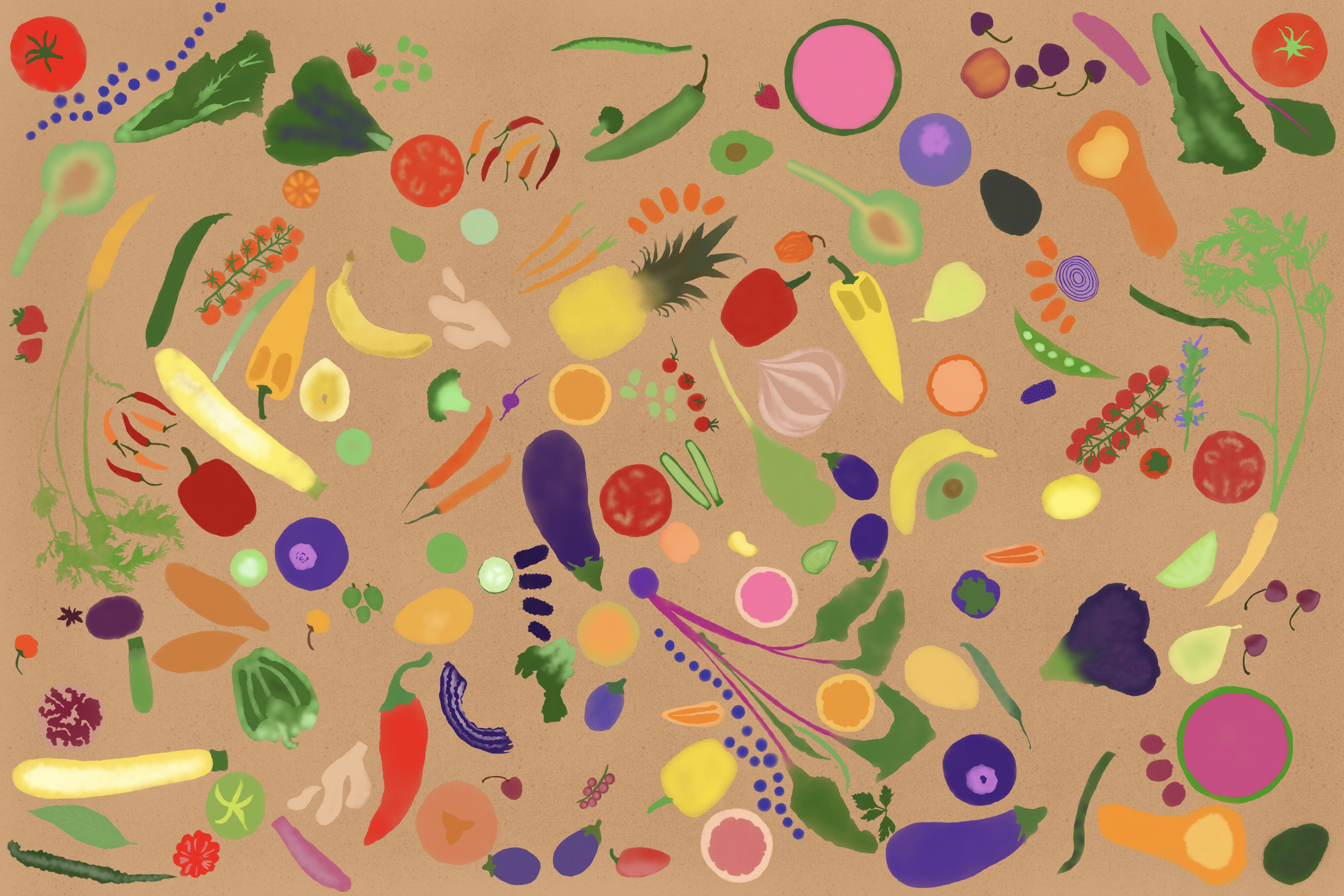 Screen Shot 2019-02-14 at 11.27.30 AM.png