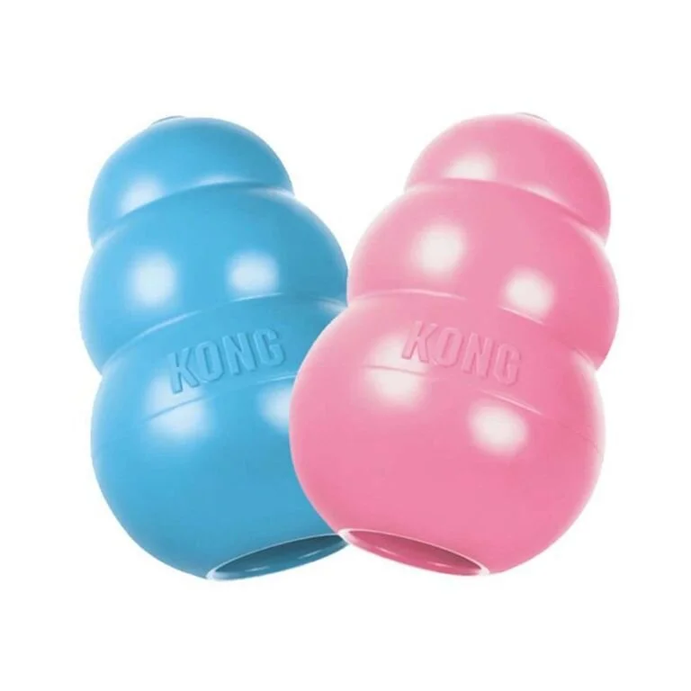 Pet Toy Petsmart Jolly Ball Petsmart Jolly Ball Kong Puppy
