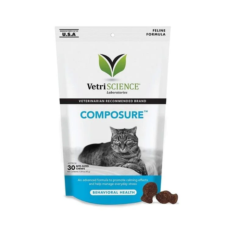 heel dog command meaning