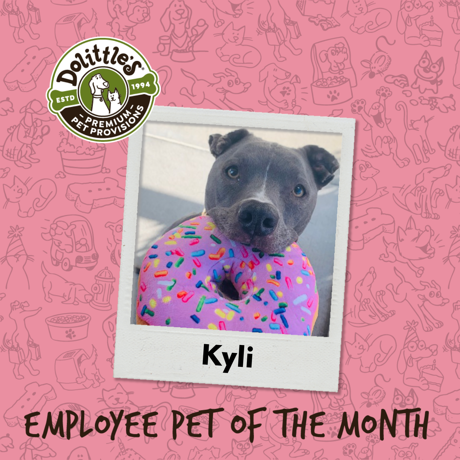 August Spotlight: Kyli