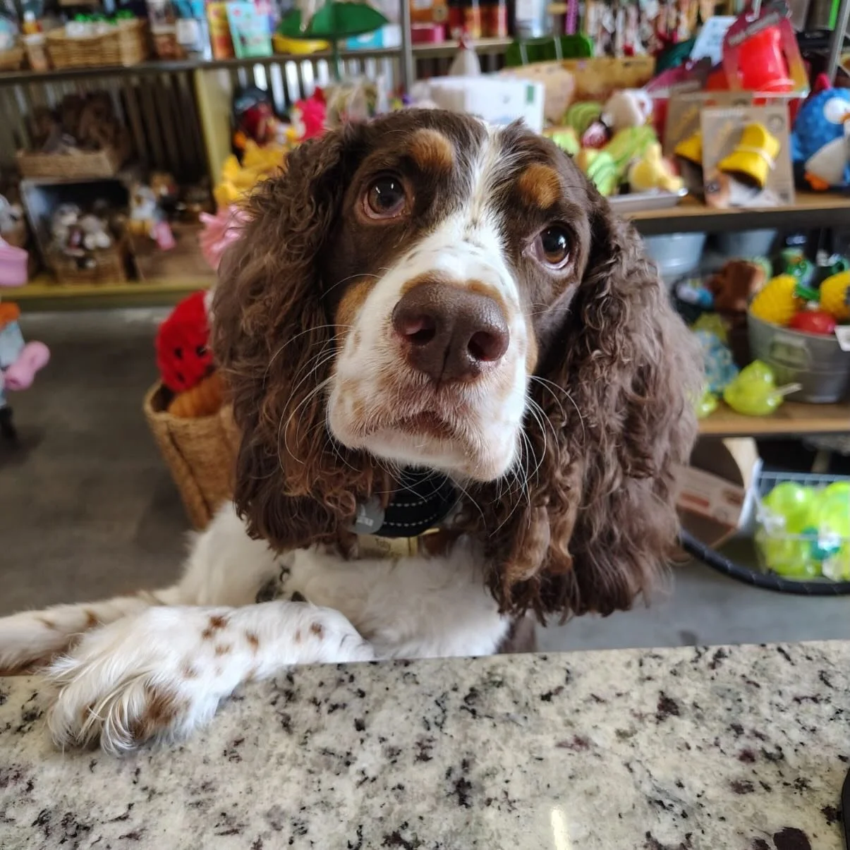 We&rsquo;re not kidding when we say we have the best looking customers in town! ✨