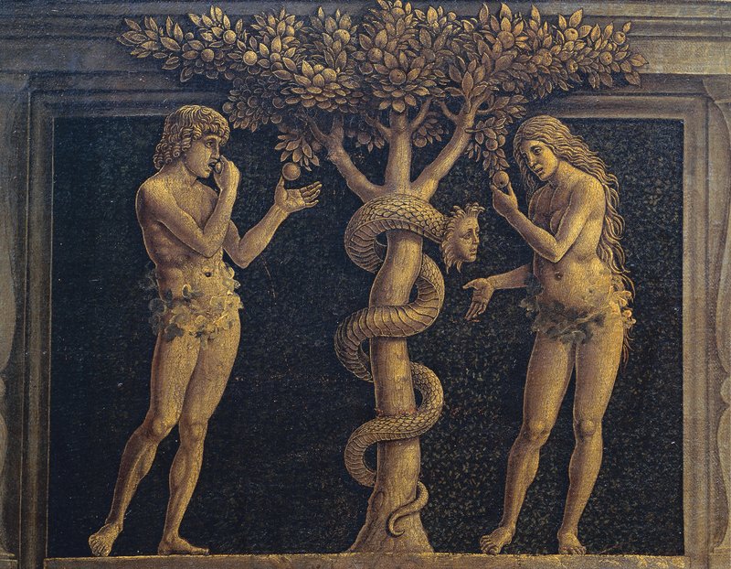 Andrea Mantegna, 1496
