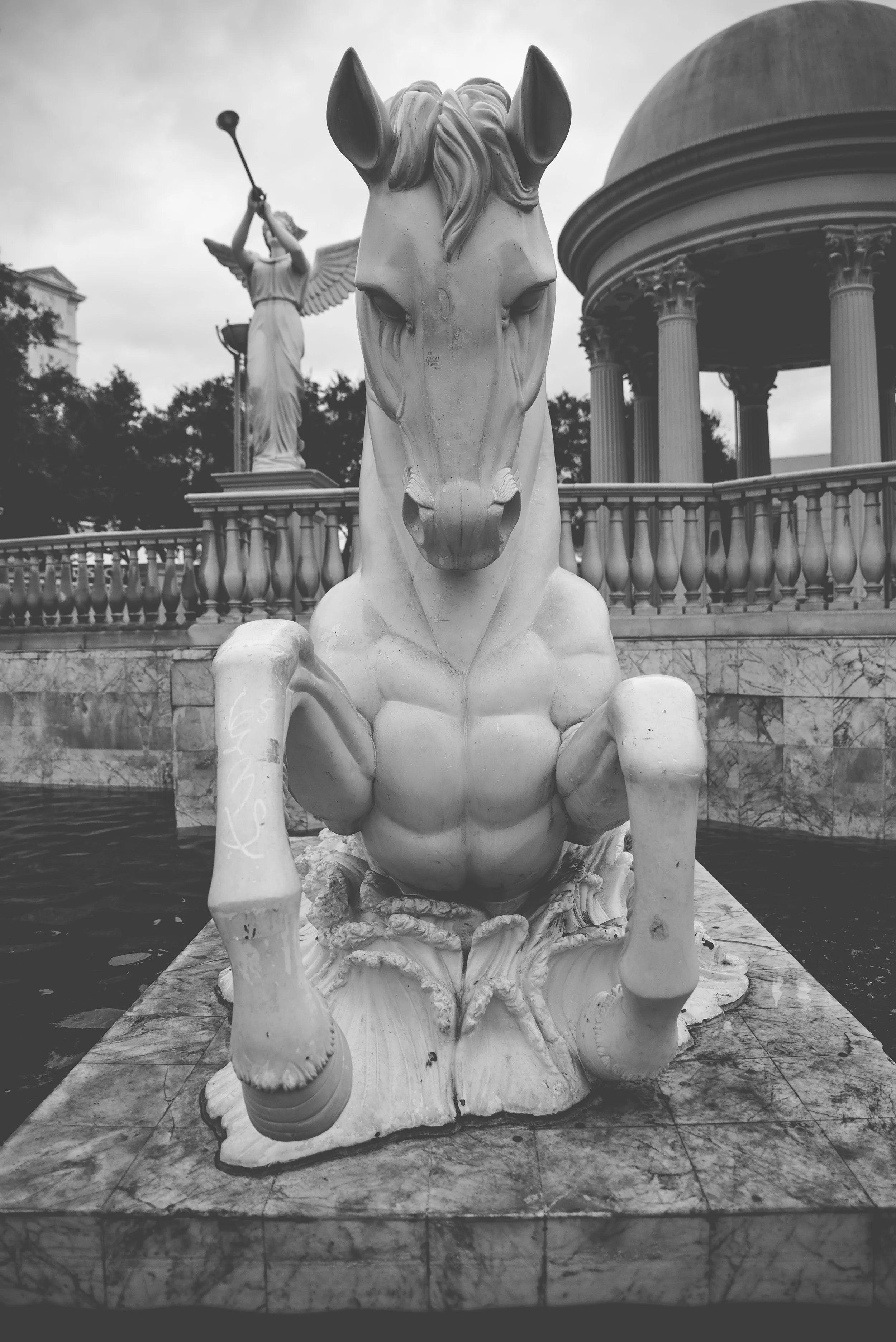 horse.jpg