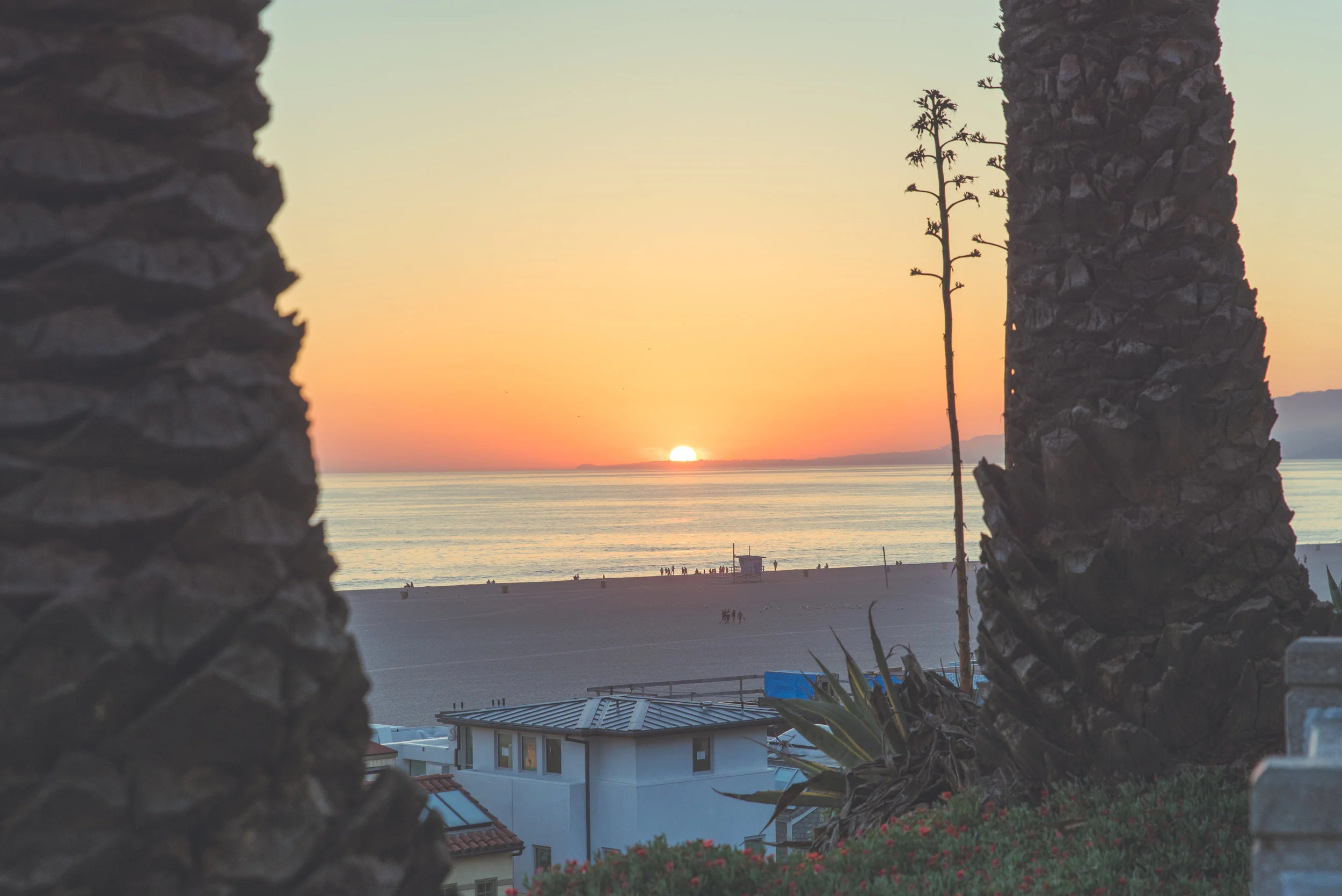Sunset 2-9808.jpg