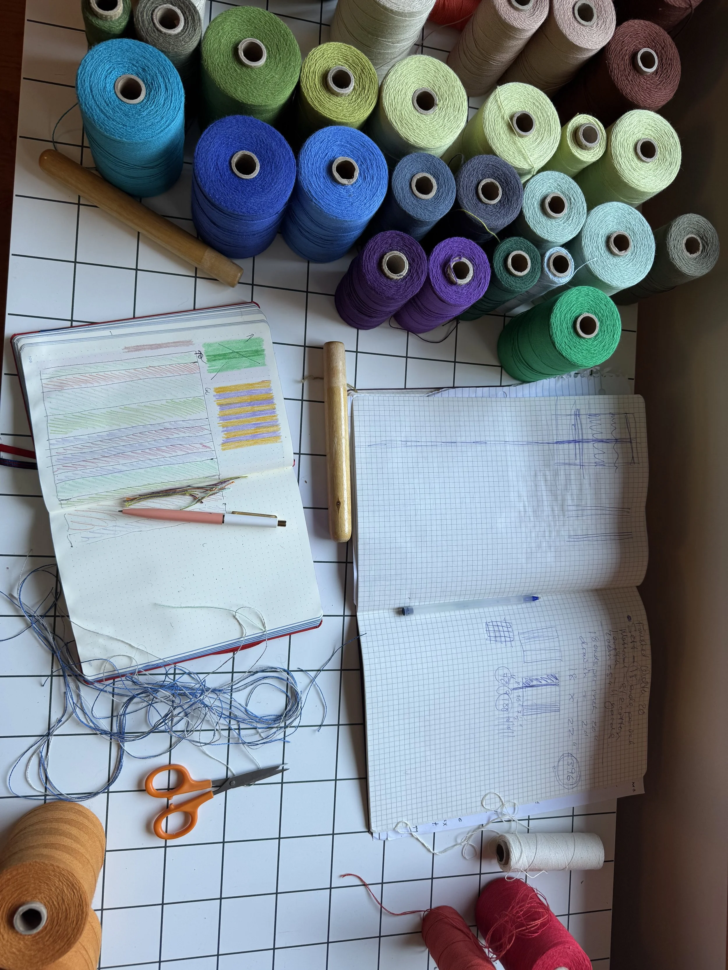  Leah Rosenburg - Resident Artist , August 2025