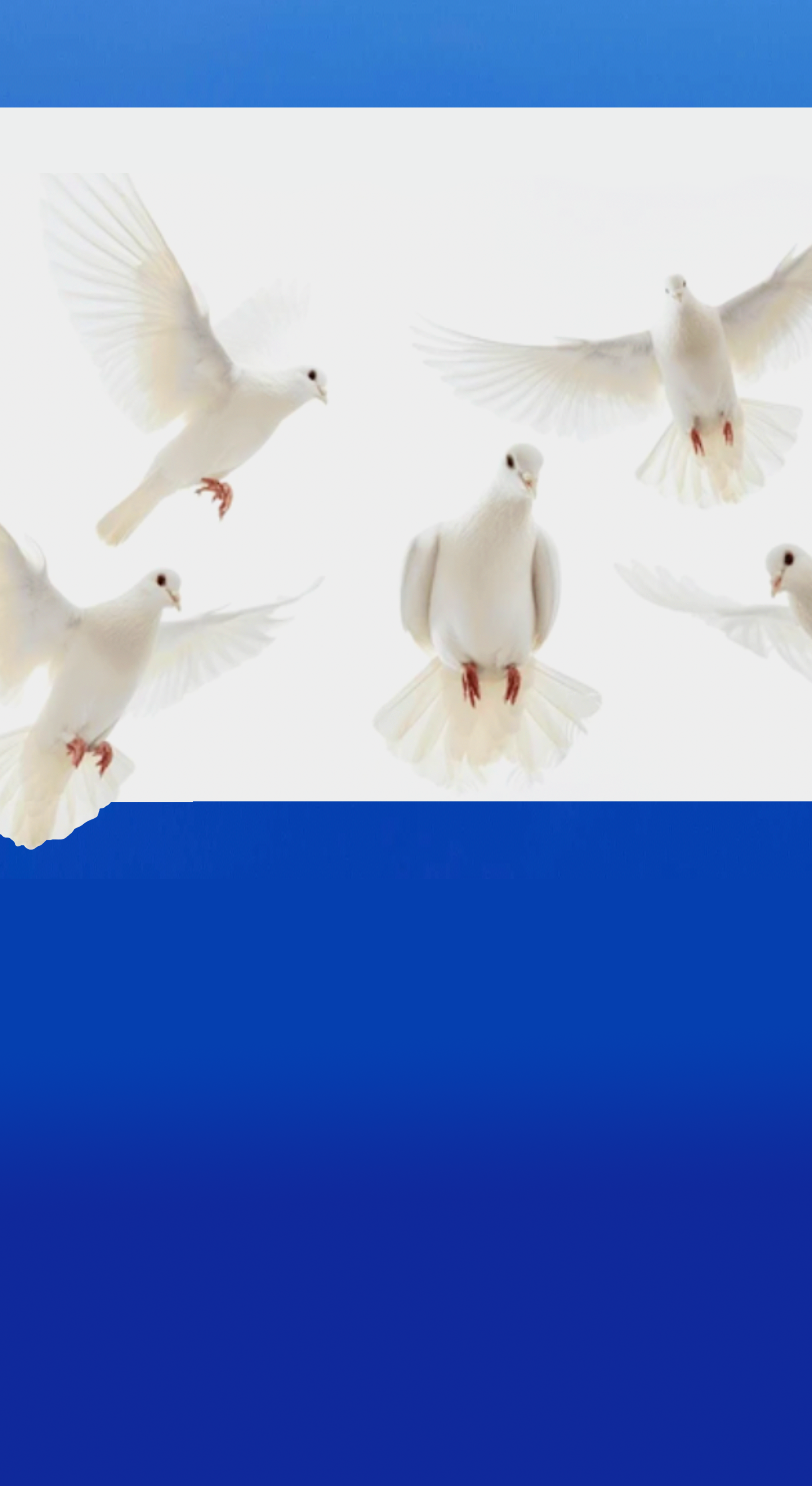 doves4.png