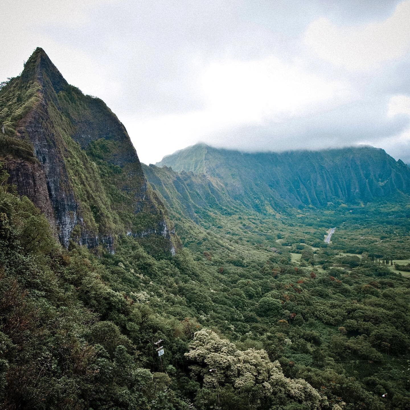 A foggy morning hike in Hawaii #ritatakestheworld