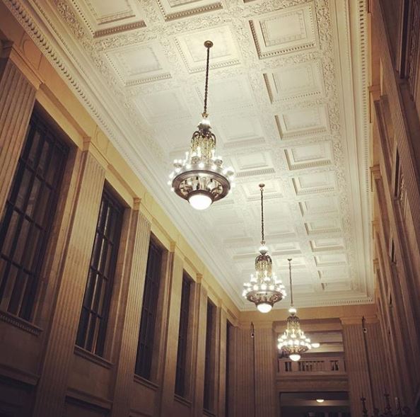 A Dandelion Crown in Winter