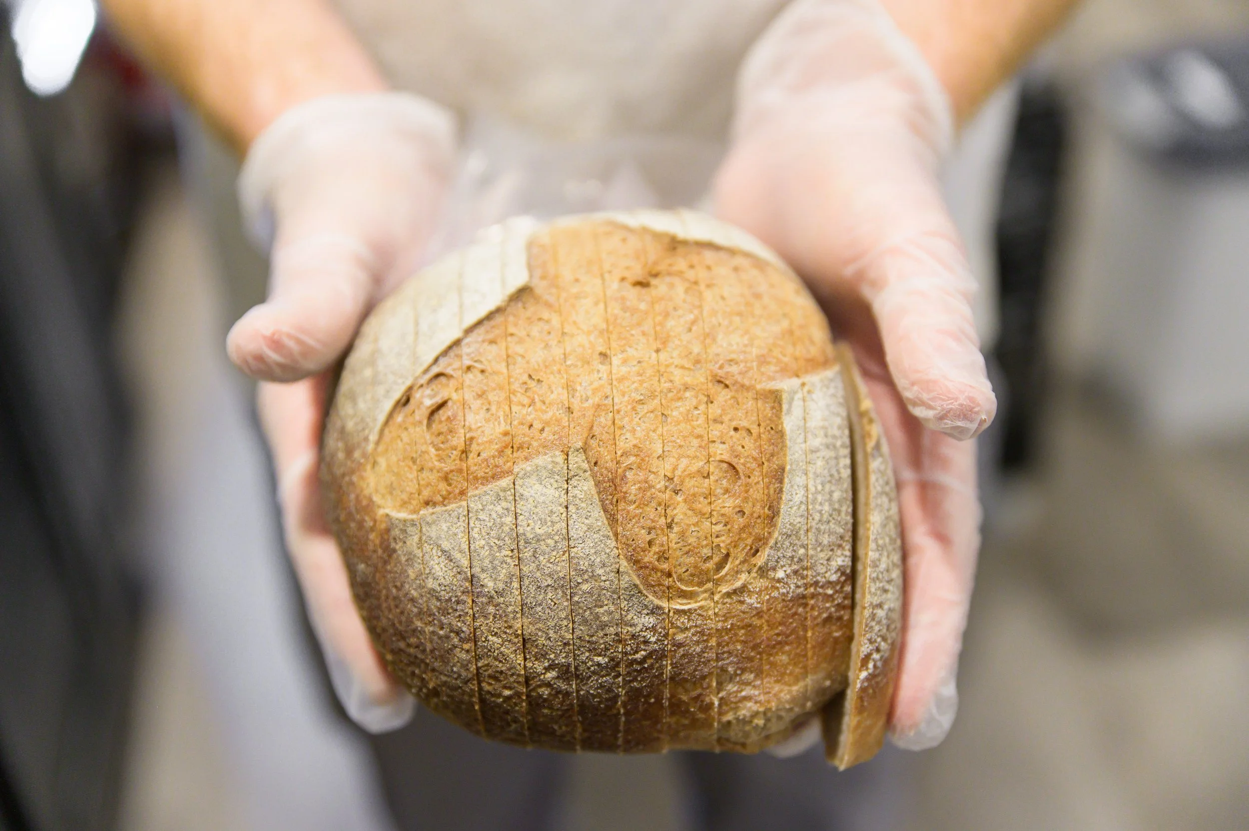 2025_Dishon_Bakery_50.jpg