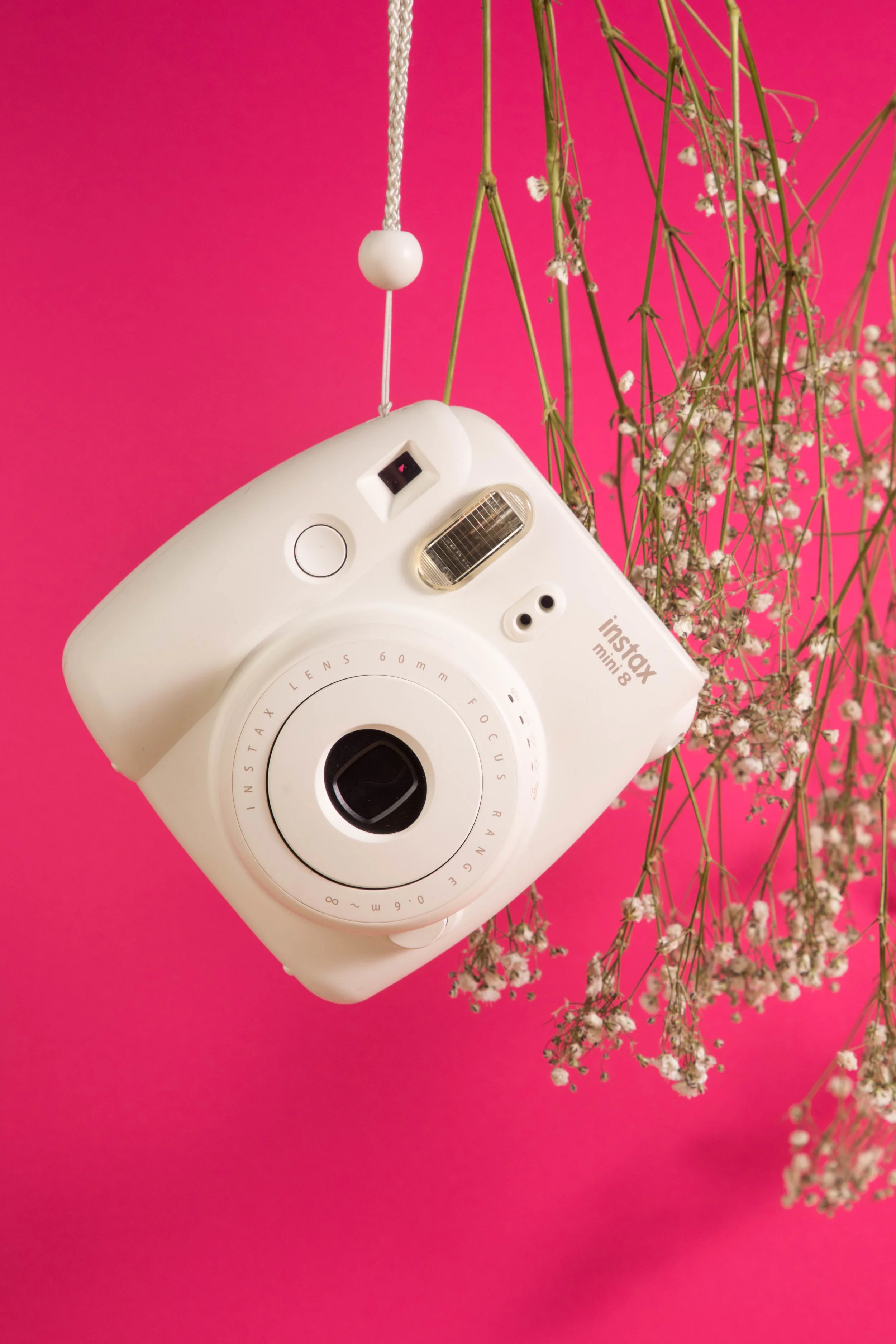 SAV_2018Winter_PHOT_MacariLizy_02 copy.jpg