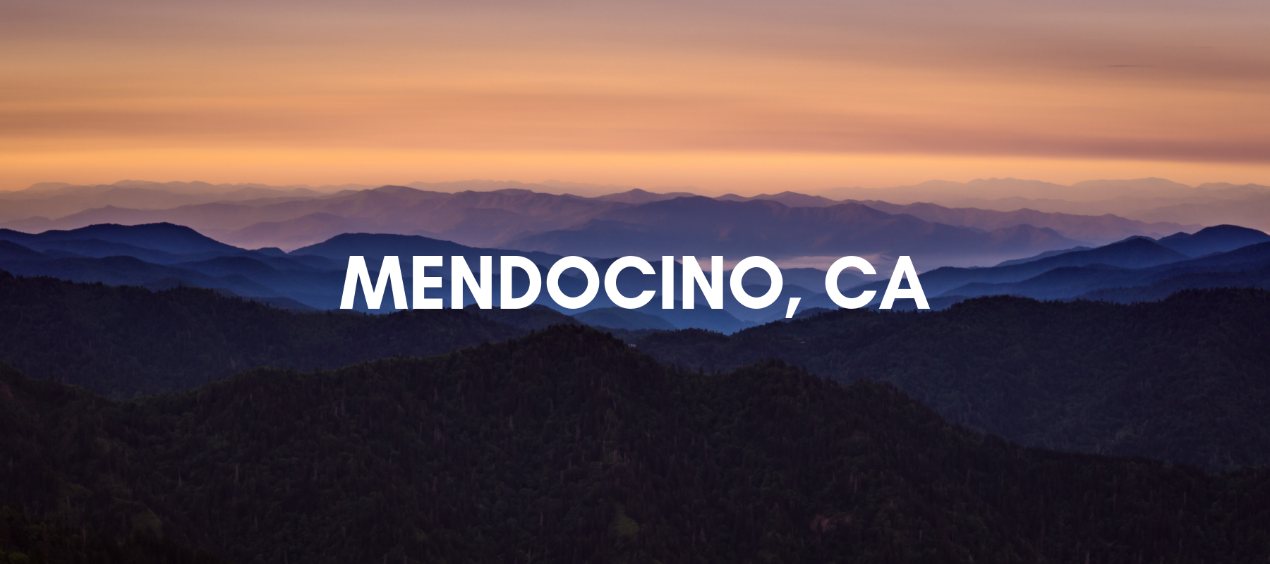 Gallery Books (Mendocino, CA)