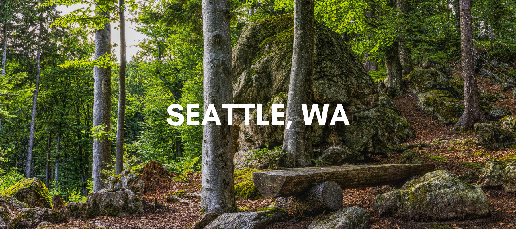 Elliot Bay Book Company (Seattle, WA)