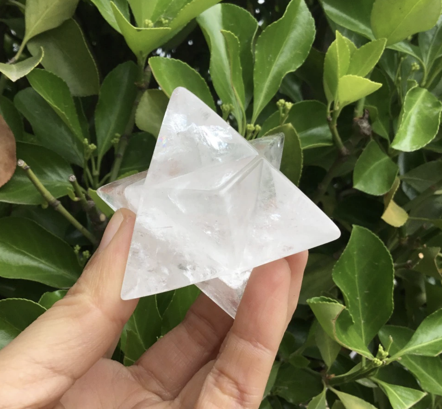 Screen Shot 2021-07-23 at 11.36.35 AM.png