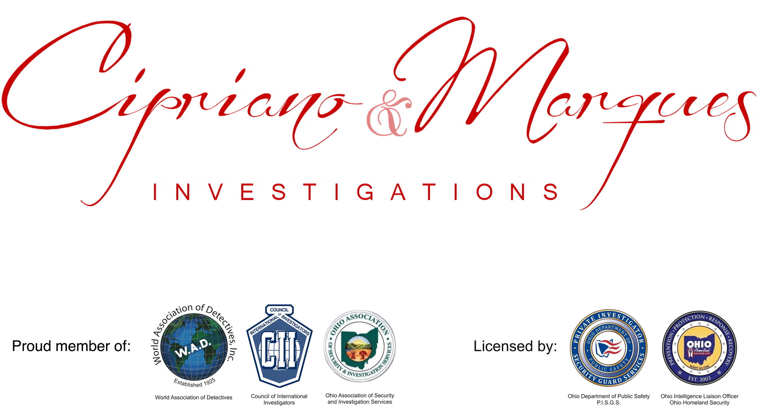 Process Service, Security, Protection, Private Investigations