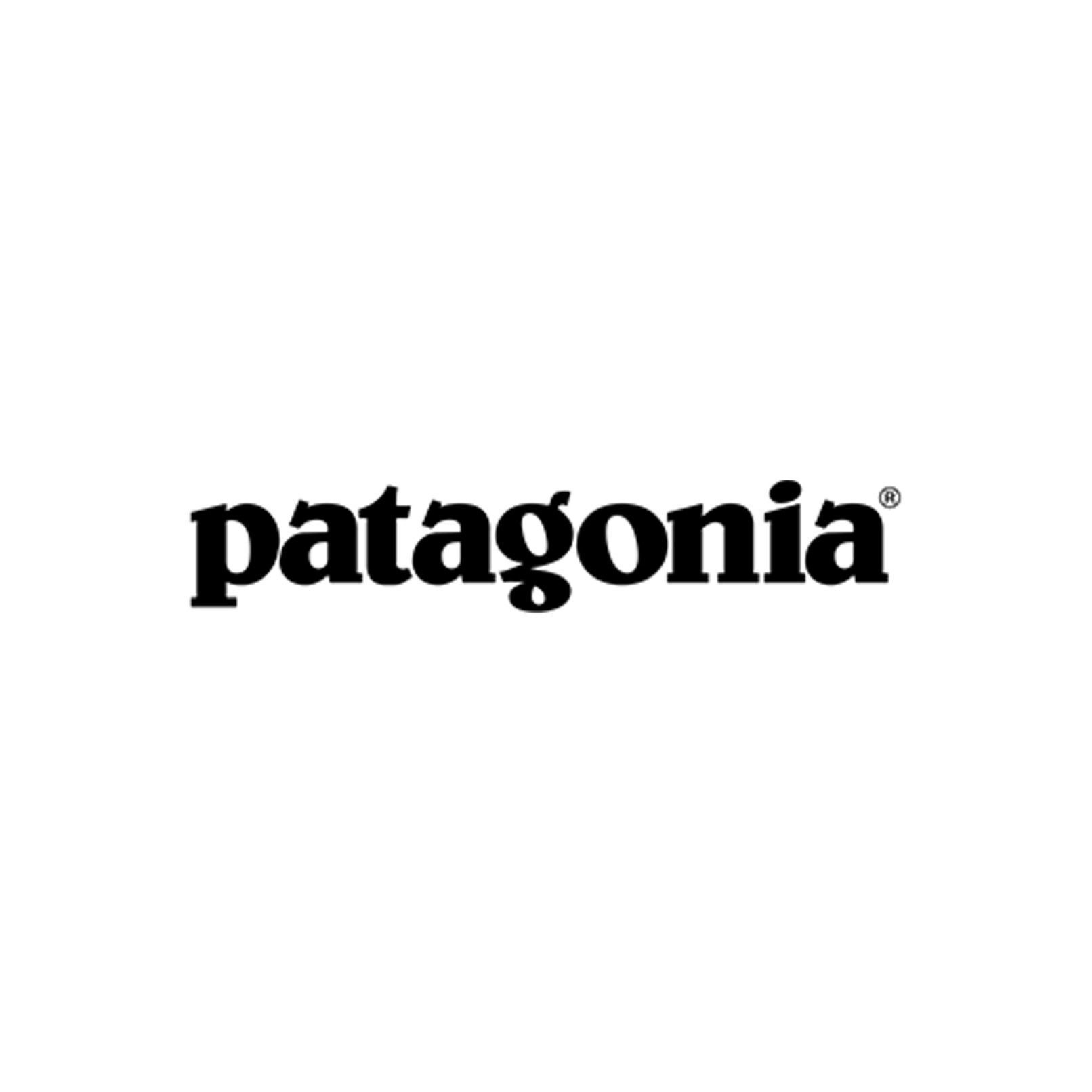 Logo Patagonia.jpg