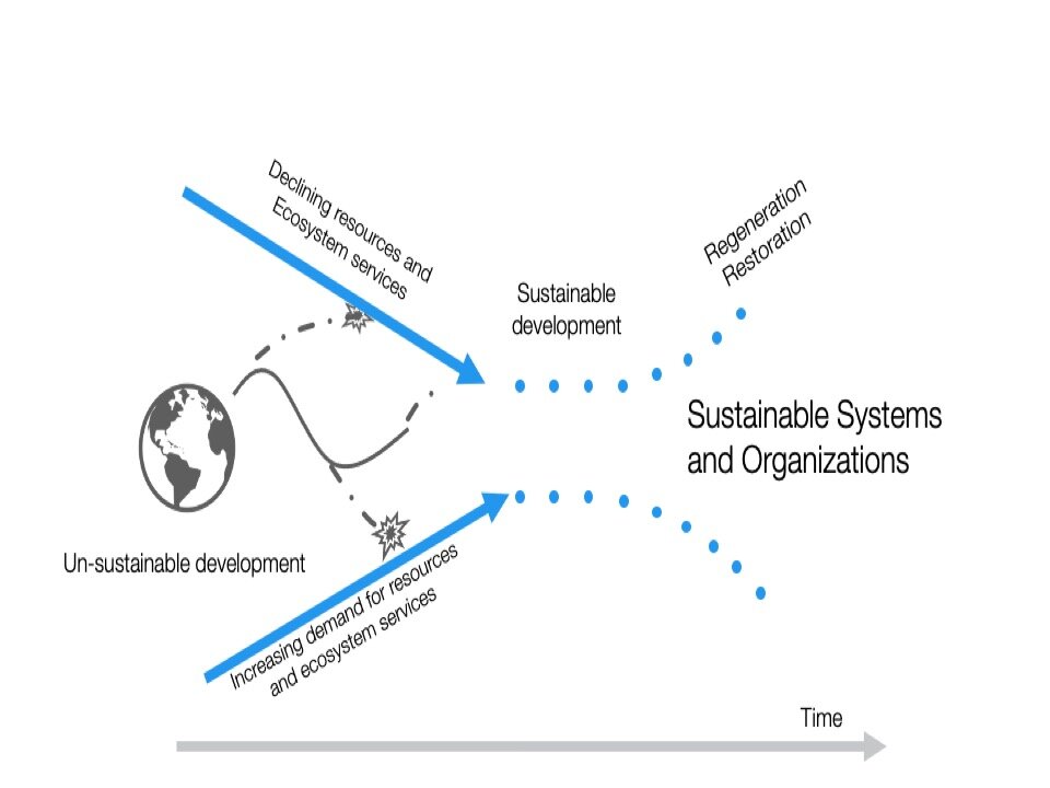 01. The Sustainability Funnel.jpeg