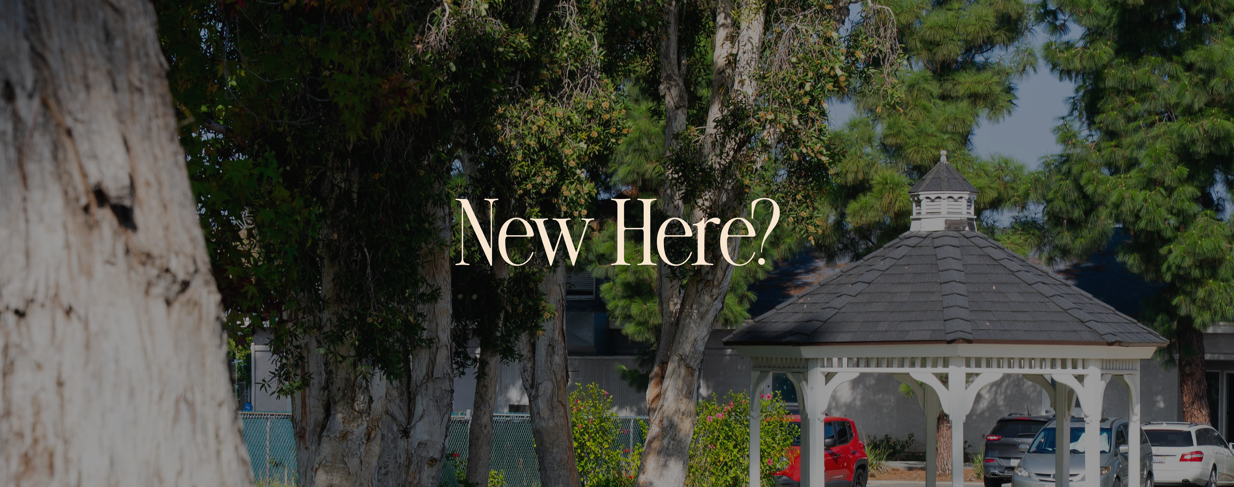 FINAL revive Brand deck 2.0.png