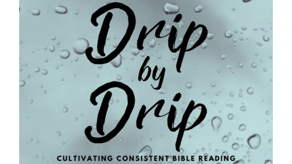 12-28-25 Drip by Drip (Part 4) s10.png