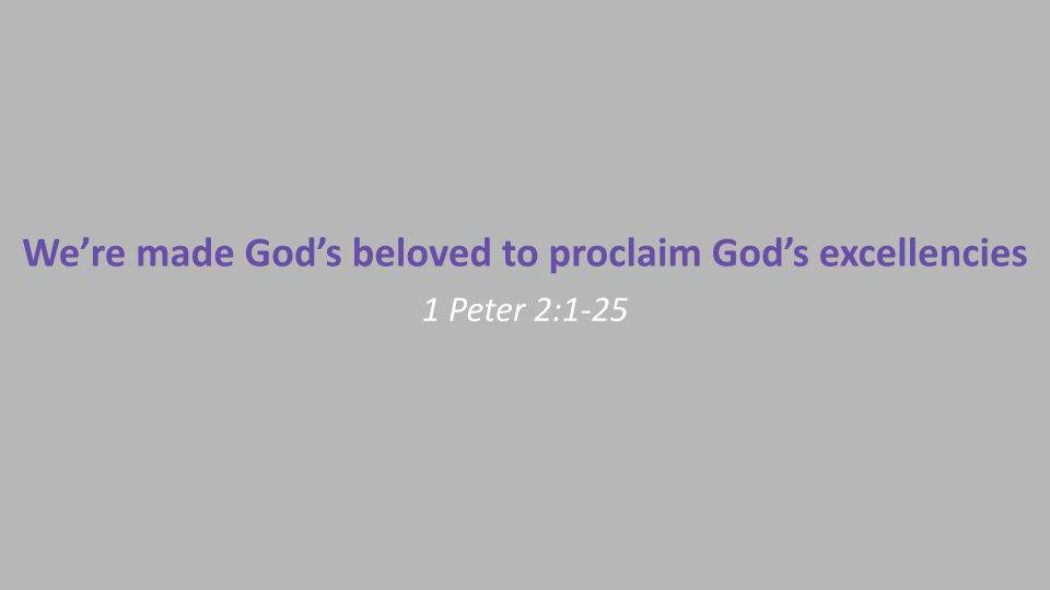 1-4-26 Proclaim His Excellencies '28 s8.png