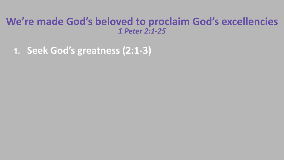 1-4-26 Proclaim His Excellencies '28 s9.png