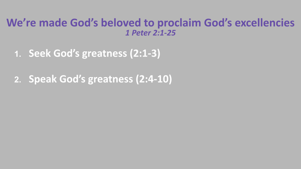 1-4-26 Proclaim His Excellencies '28 s10.png