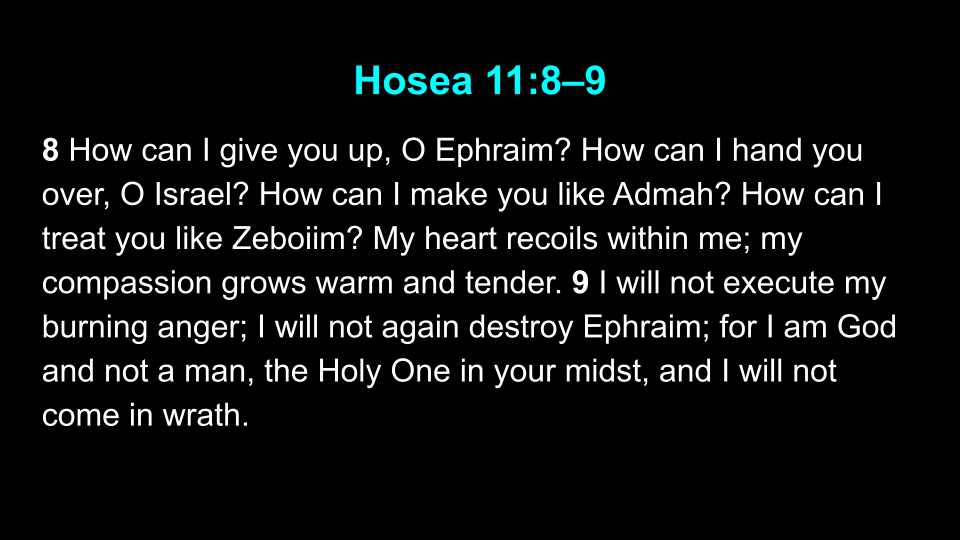 2-15-26 Fully and Forever Forgiven (Hebrews 9_1-10_18) s9.png