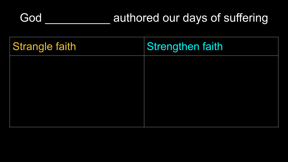 8-23-26.      Daniel 8 s2.png