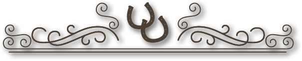 Asset 4.png