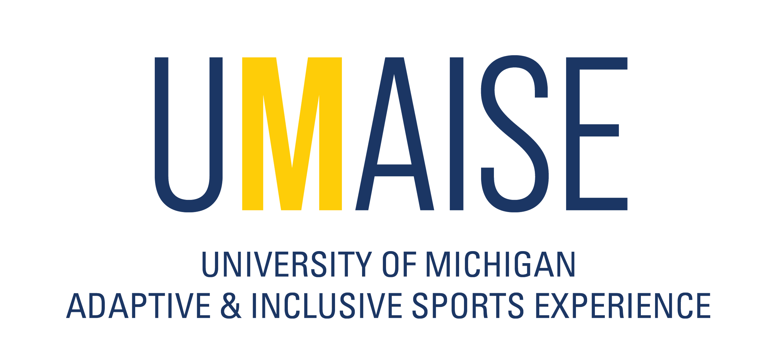  UMAISE logo 