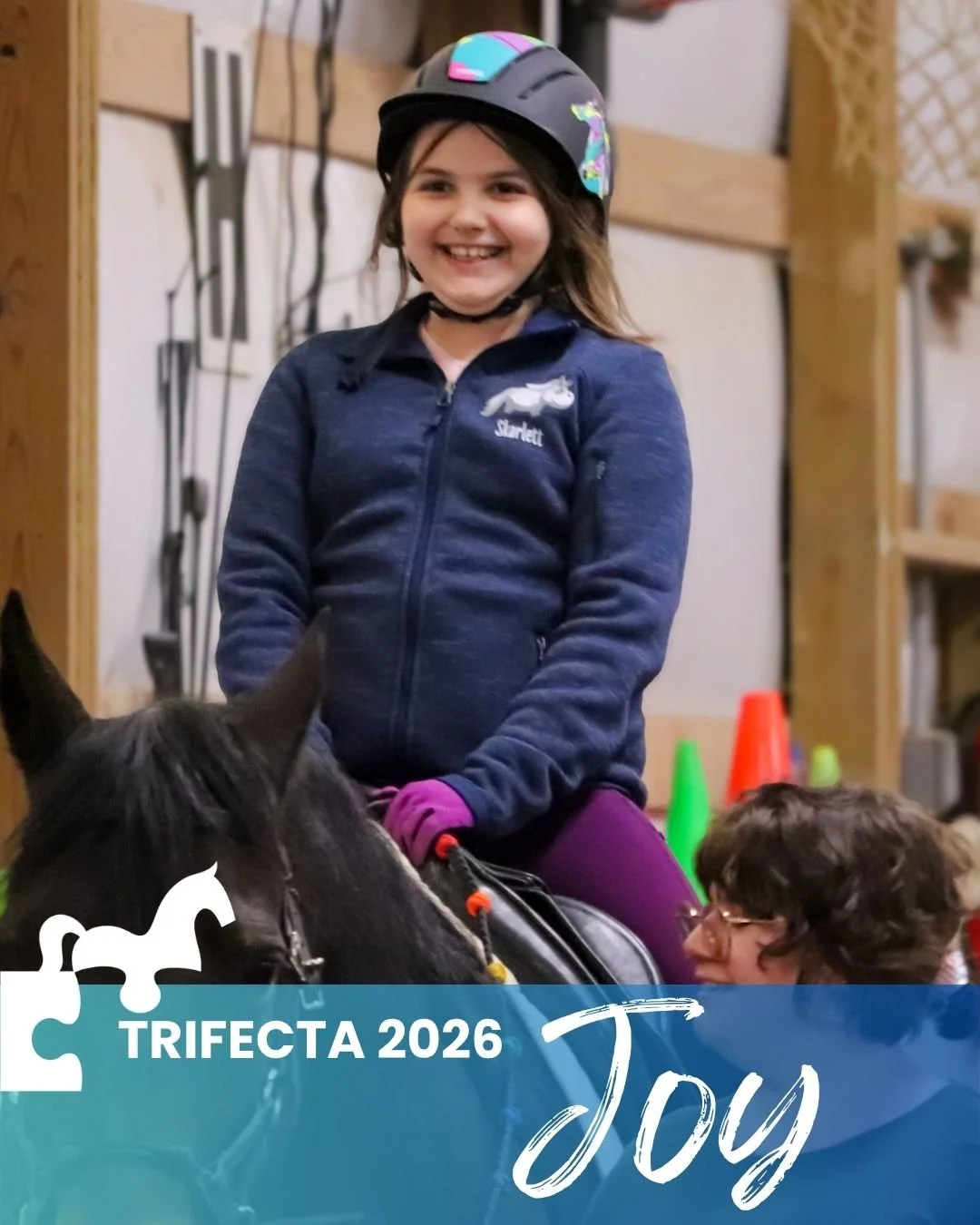 Trifecta Joy post graphic.jpg