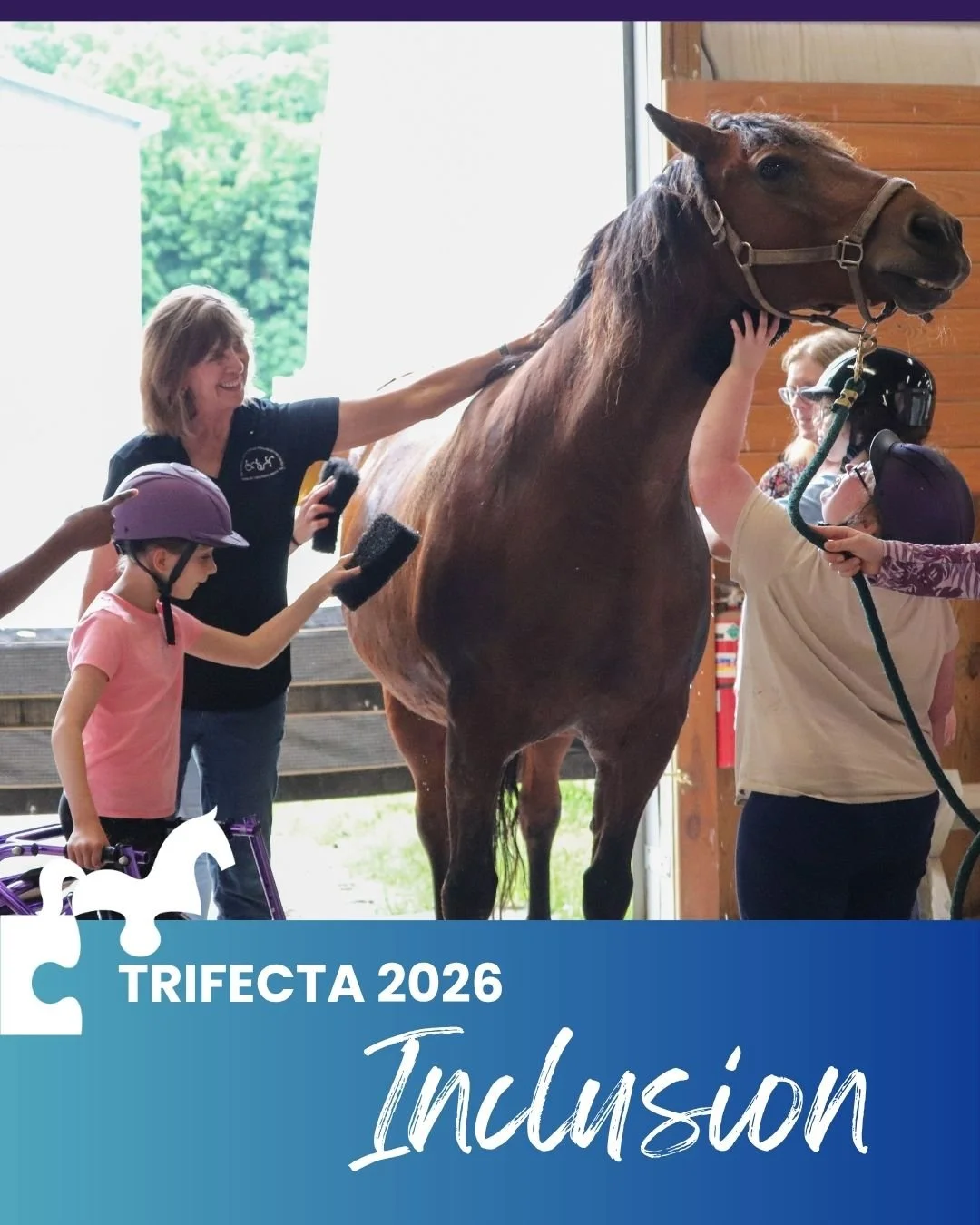 Trifecta Inclusion post graphic 2.0.jpg