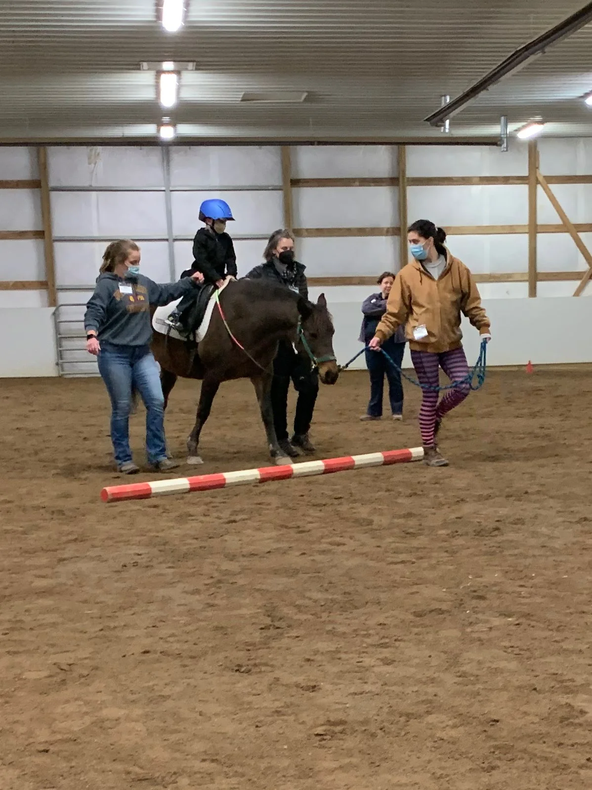 Our Horses — Therapeutic Riding, Inc.
