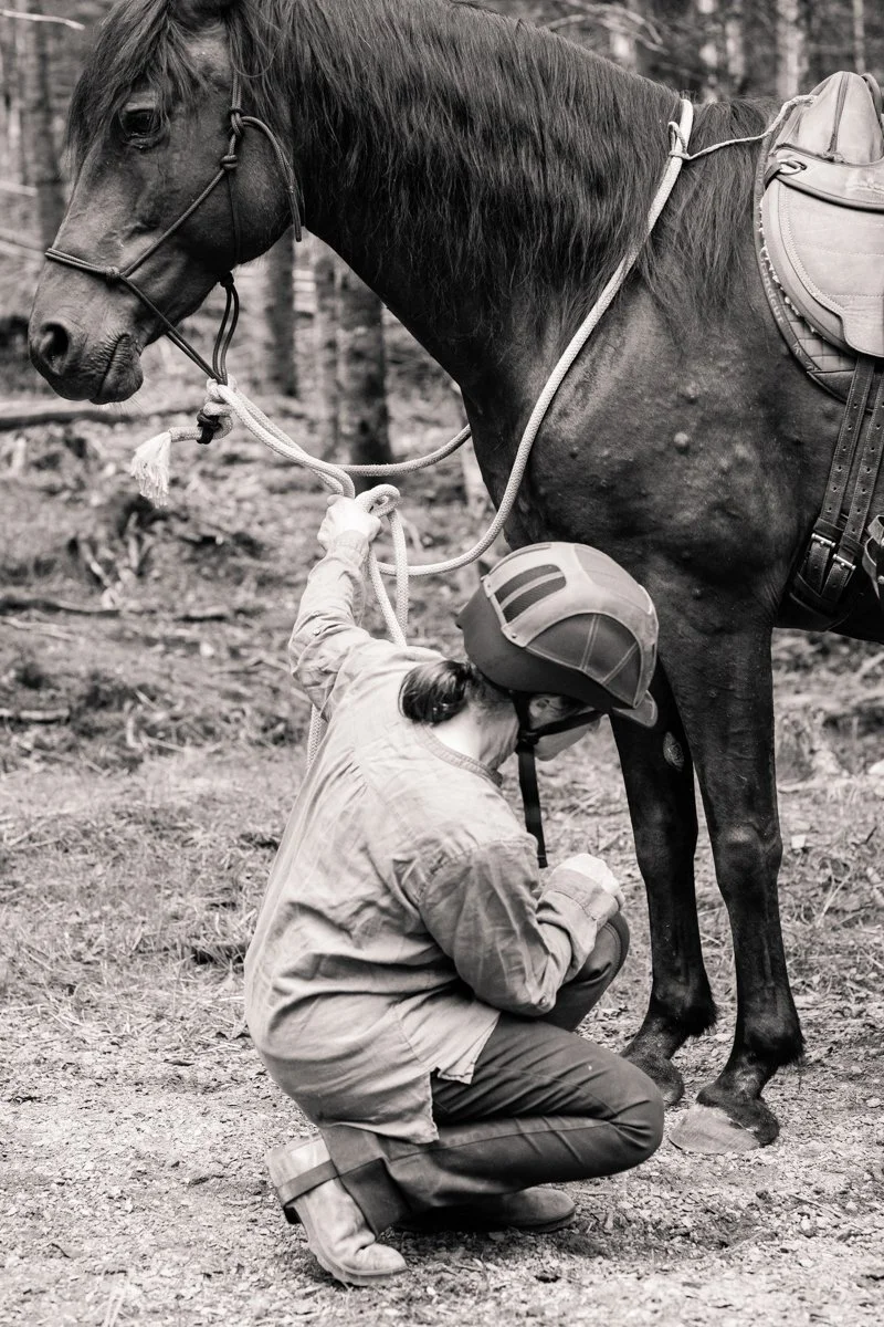 Hoof, Body &amp; Soul, Part III: Mission Impossible, unedited, by Gudrun Buchhofer. Blog 1,  Introduction and case # 1