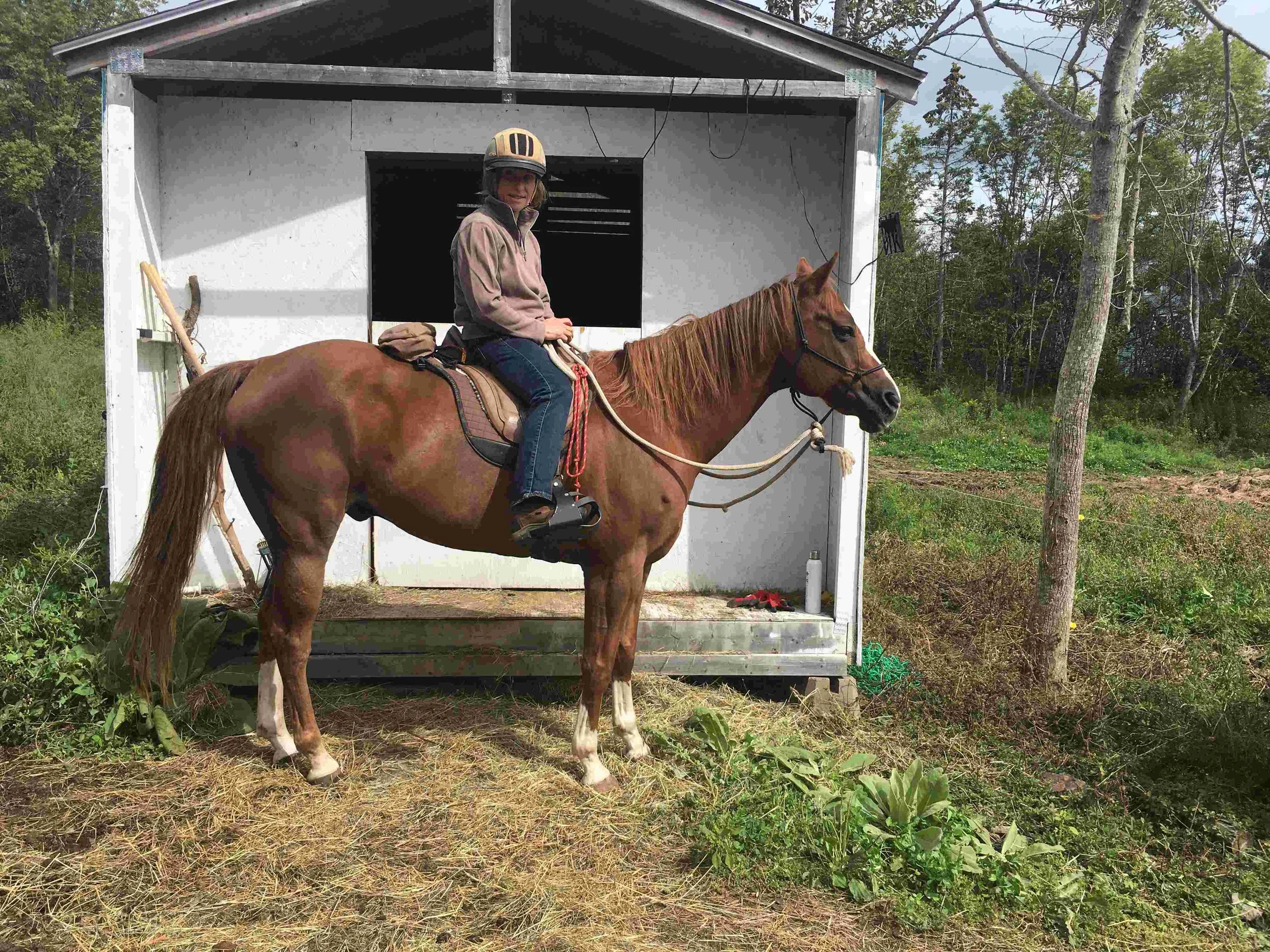 Hoof, Body &amp; Soul, Part III: Mission Impossible, unedited, by Gudrun Buchhofer. Blog 66, case # 66