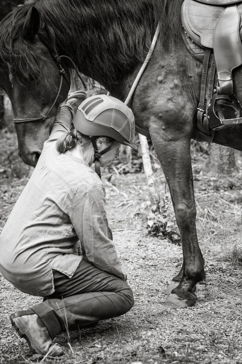 Hoof, Body &amp; Soul, Part III: Mission Impossible, unedited, by Gudrun Buchhofer. Introduction