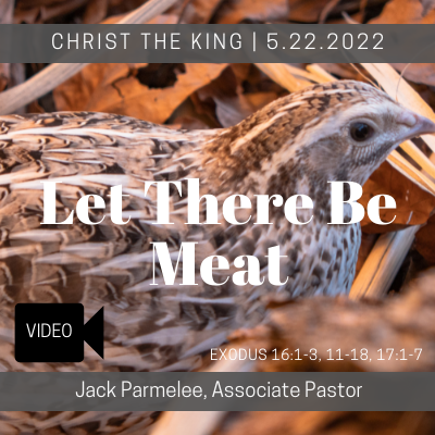 Let There Be Meat