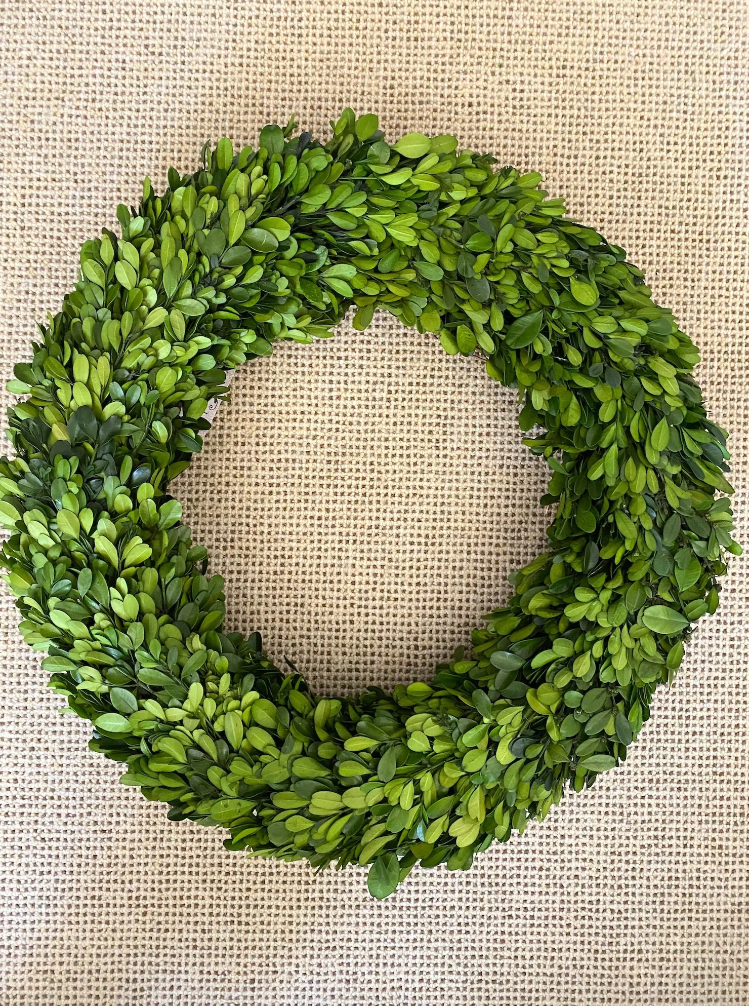 Boxwood Country Manor Round Wreath 20"