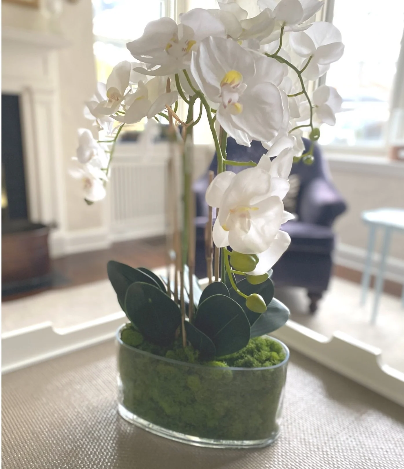 Faux White Large Orchid/All Moss Base/Clear Oval Vase