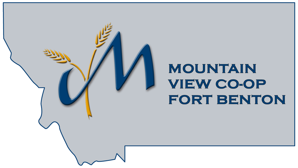 Mountain Vie Logo