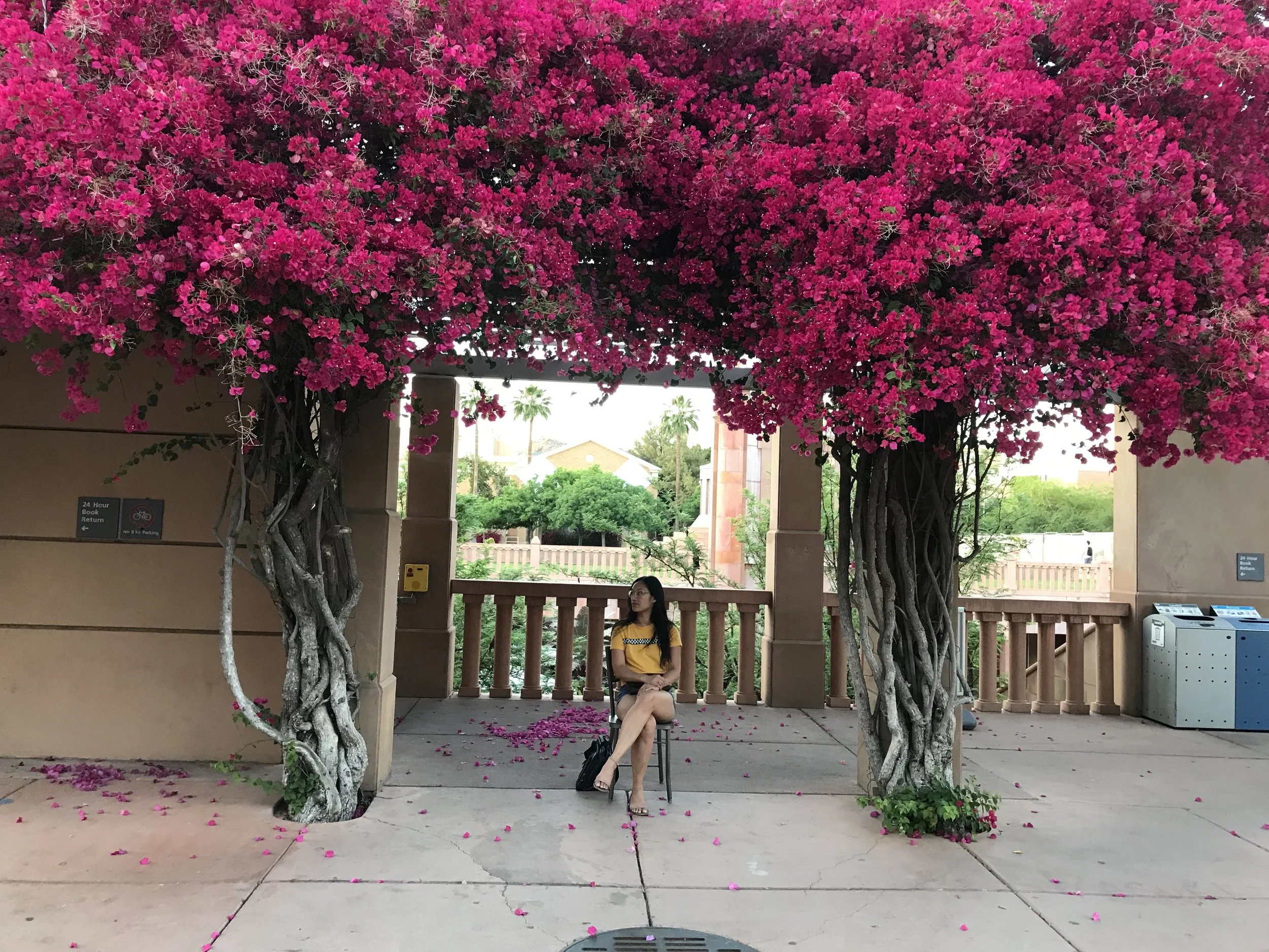 Take time to be still; nature reveals her secrets to those who listen.