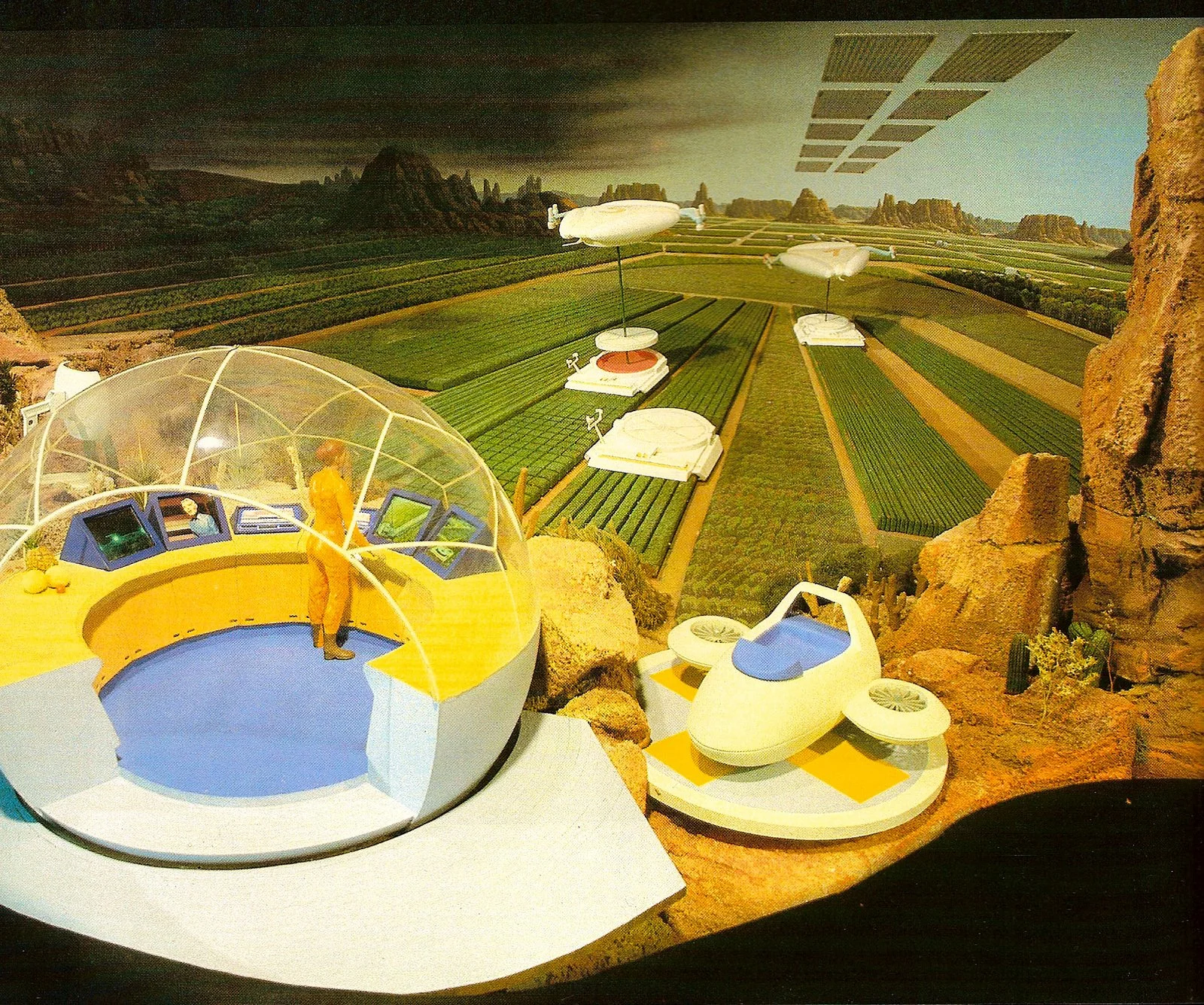 Future Farms.jpg