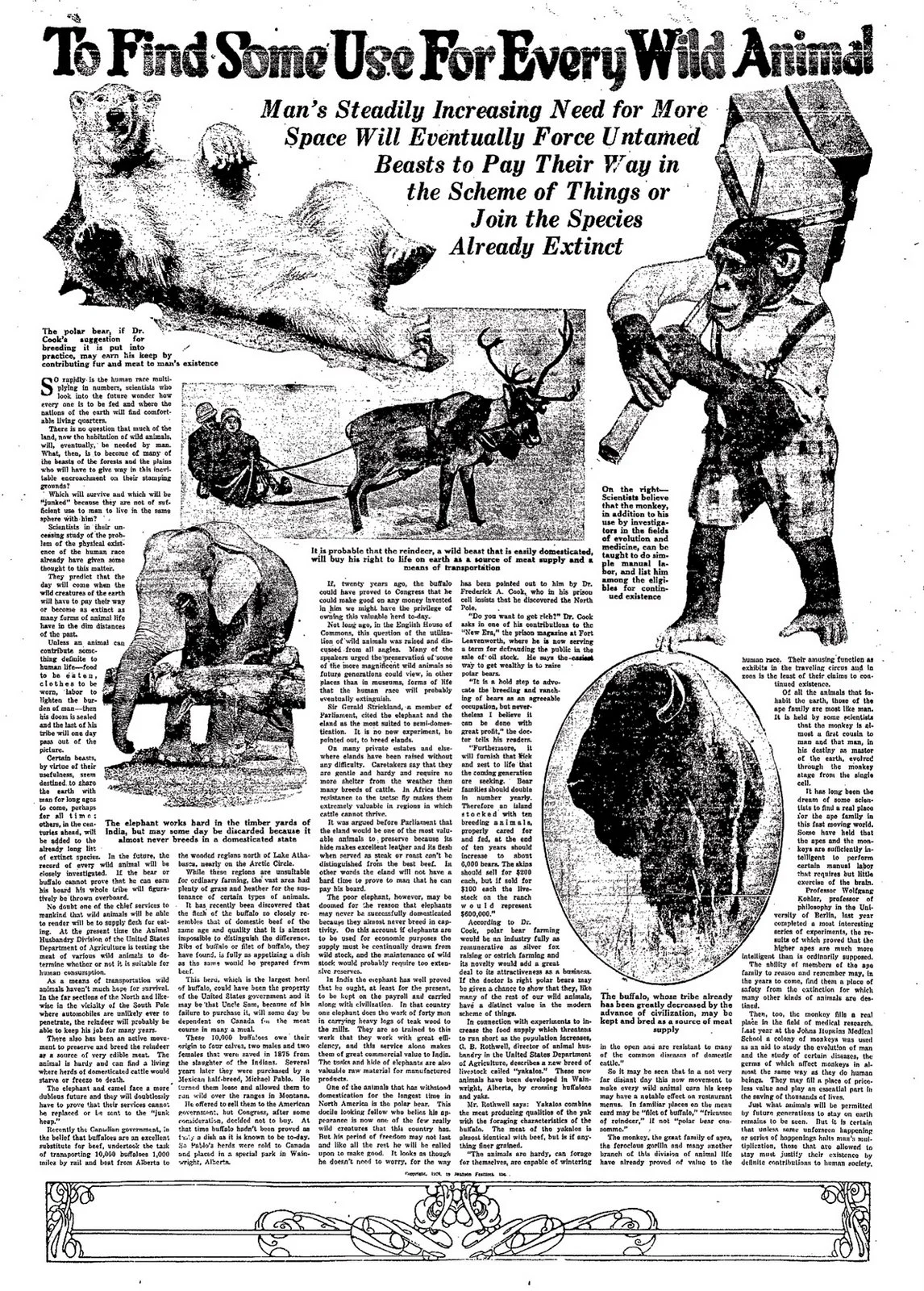 1926-Nov-11-Galv-paleo-futu.jpg