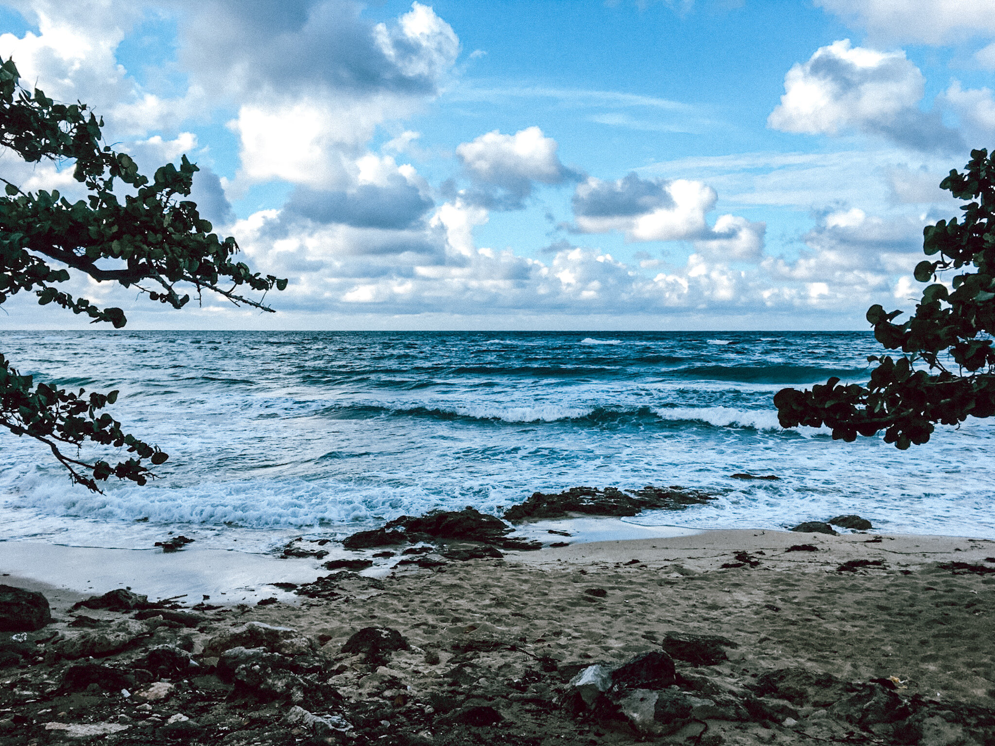 Cuban Beach.jpg