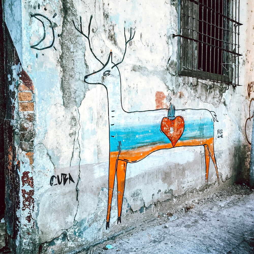 Habana Street Art.jpg