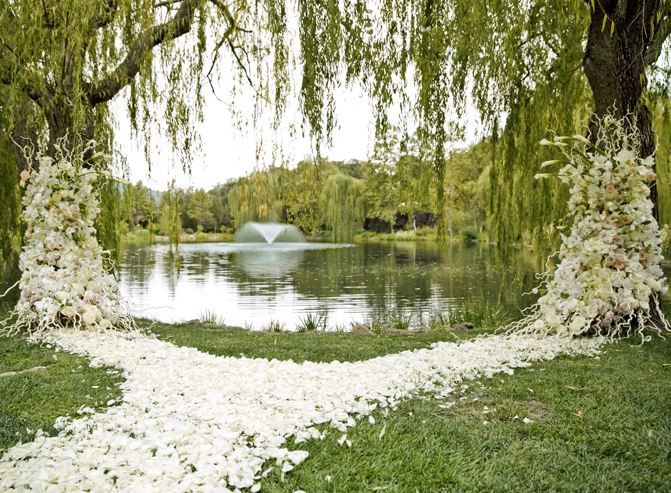 D_0_soiree-swan-lake-01.jpg